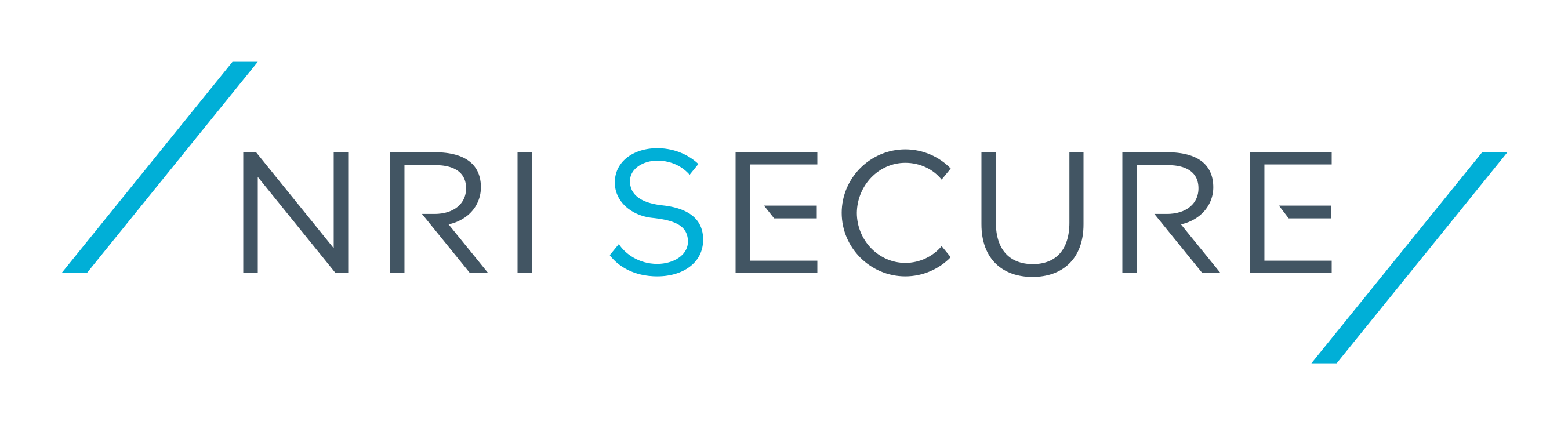 NRI SecureTechnologies, Ltd. Logo